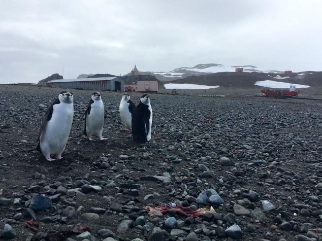 El rápido deshielo de la Antártida comenzó en 2014 y no se sabe el por qué