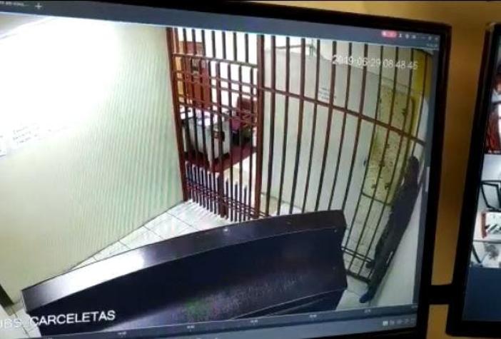 [VIDEO] Ladrón aprovecha su delgadez para escapar entre las rejas de una celda de la cárcel