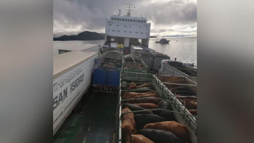 Barco con 244 vacunos se mantiene encallado en Aysén