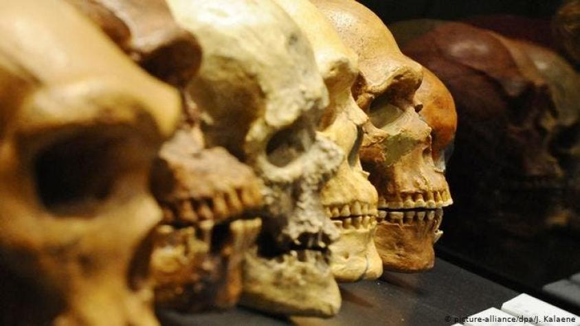 Identifican en Grecia al Homo sapiens no africano más antiguo