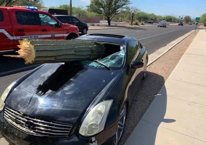 [VIDEOS] Conductor se salvó de milagro luego de que cactus atravesara su parabrisas