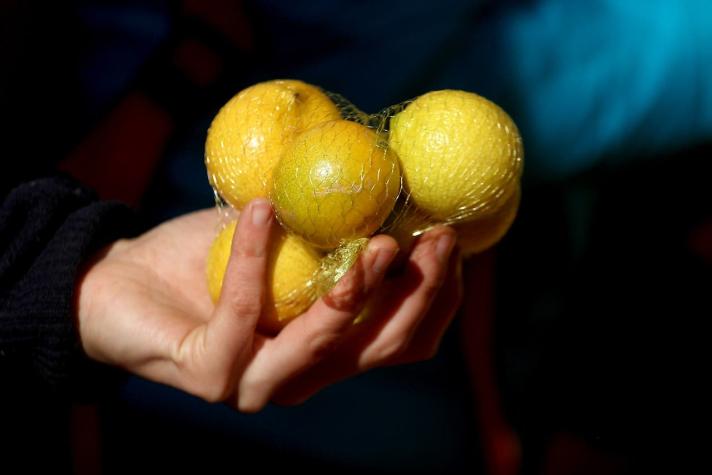 Ahora que están baratos los limones: Cómo almacenar su jugo sin que se ponga amargo