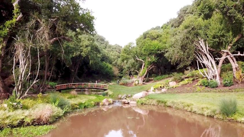 [VIDEO] #HayQueIr: En el nuevo Parque Tricao está el mayor aviario de Sudamérica
