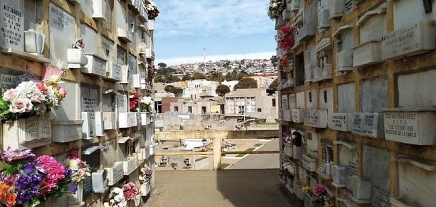 Sepulturero muere tras caerle una lápida en la cabeza en el cementerio de La Ligua