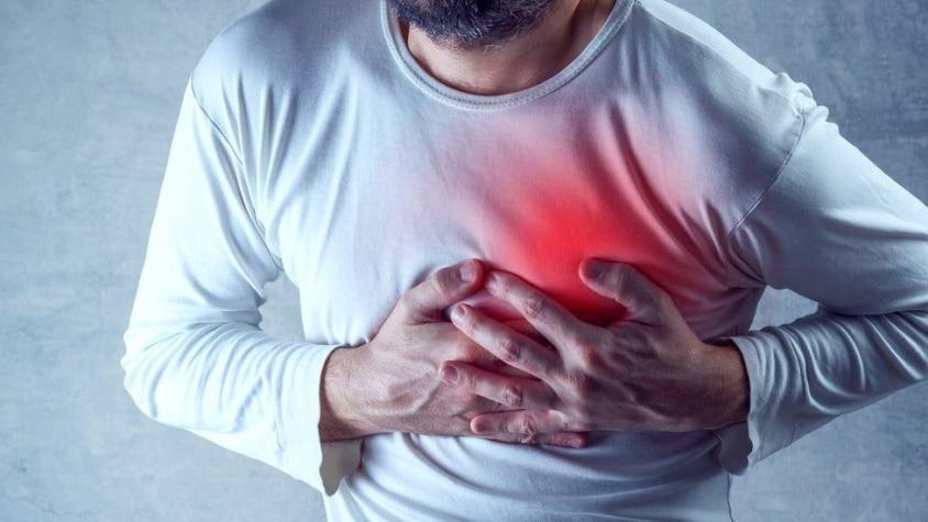 Ataques al corazón: por qué los humanos somos casi única especie que los sufre