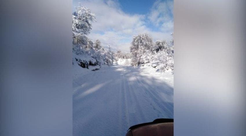 Lonquimay: Casi 1.500 personas se mantienen aisladas tras intensas nevadas