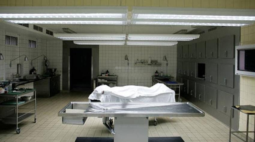 Una cabeza de mujer cosida a un cuerpo de hombre: Los macabros hallazgos en un laboratorio en EE.UU