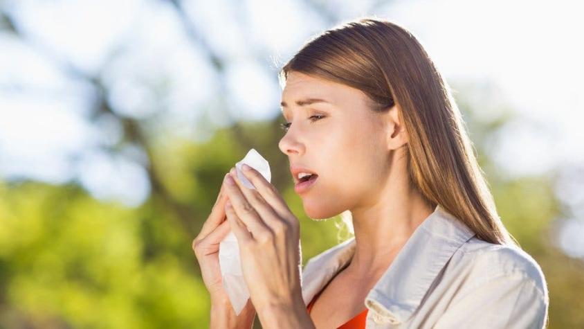 5 estrategias para reducir los síntomas de la alergia al polen sin usar medicamentos