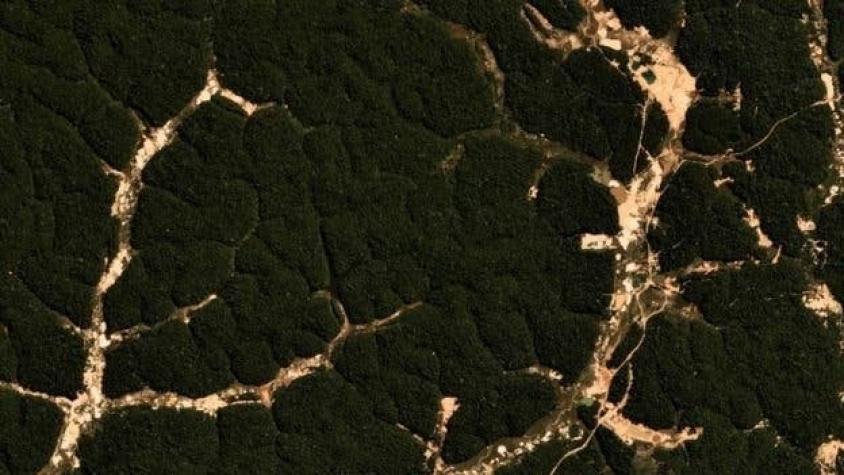Las imágenes que muestran el avance minero ilegal en tierras indígenas amazónicas