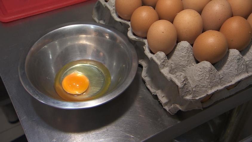 [VIDEO] Consumo de huevo en Chile aumenta gracias a las gallinas "libres"