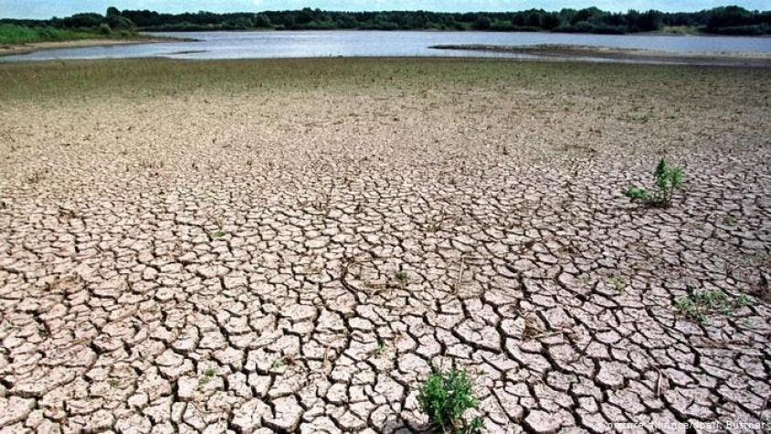 Panel del Cambio Climático: el mundo tiene más hambre, pero la tierra está agotada