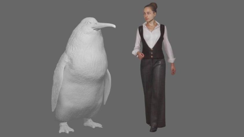 Cómo era el "pingüino monstruo" que alcanzaba tamaño humano