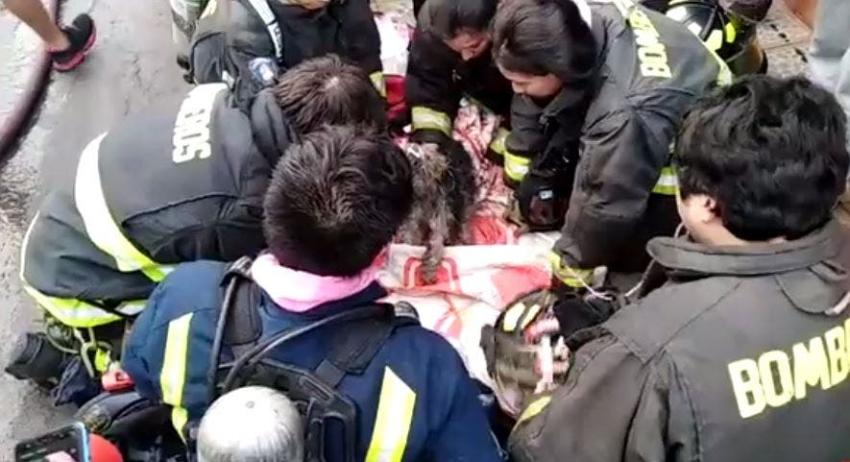 [VIDEO] Bomberos salvan a perrita afectada por el humo durante un incendio en Iquique