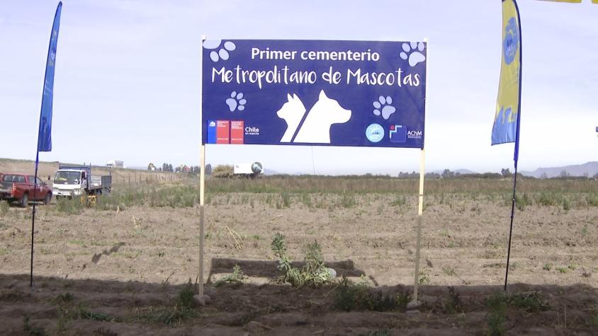 [VIDEO] Construirán cementerio gratuito para mascotas en Maipú