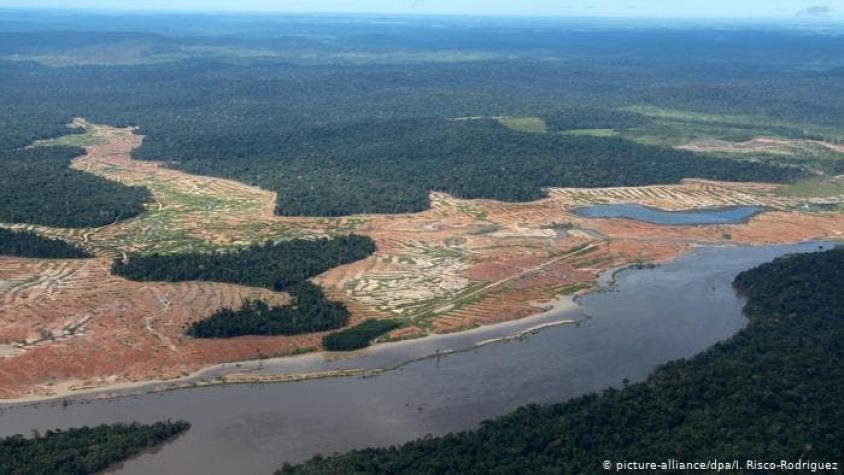 Noruega bloquea ayuda para el Amazonas por deforestación en Brasil