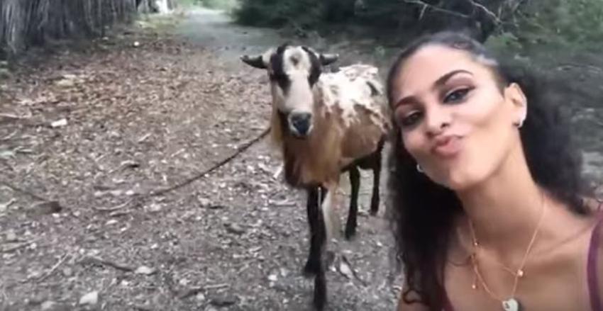 [VIDEO] Quiso tomarse una selfie con una cabra y tuvo un triste final
