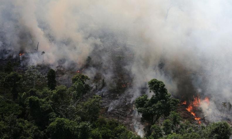 [VIDEO Y FOTOS] Las impactantes imágenes de los incendios en Brasil por deforestación y sequía