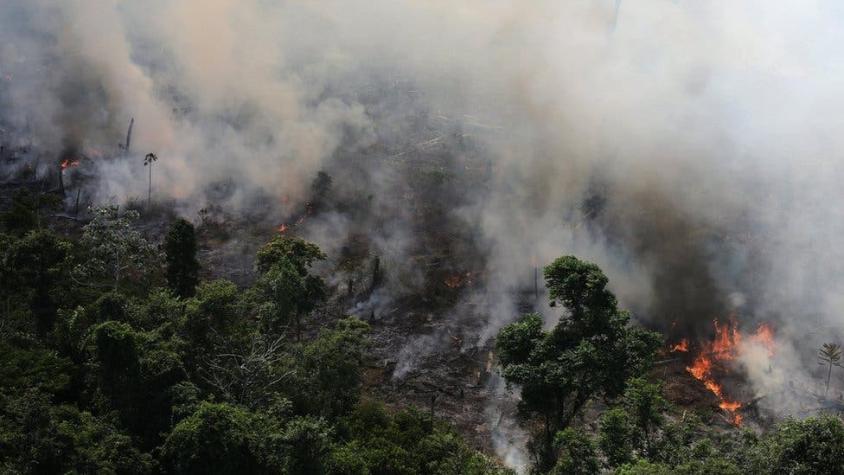 [FOTOS] Incendios en la Amazonía: los graves incendios que arrasan Brasil y otros países de América