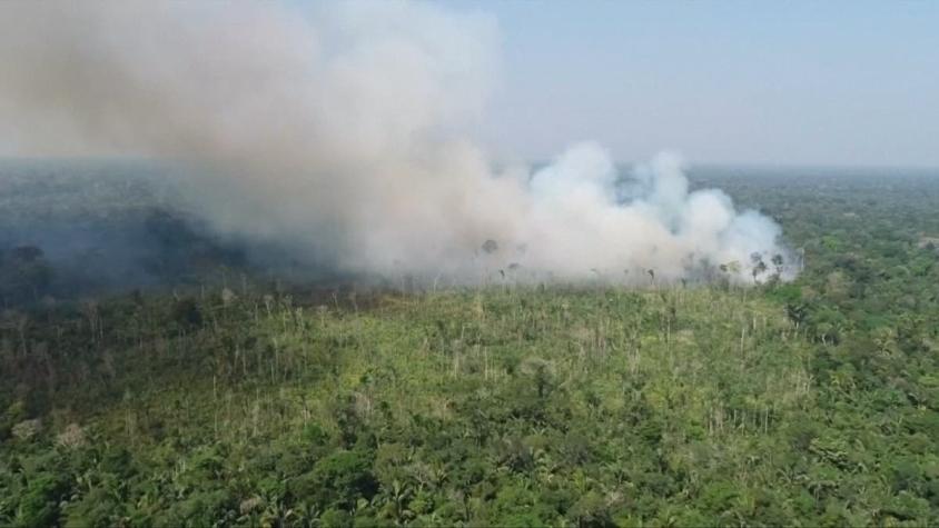 [VIDEO] Amazonías en llamas: ¿Por qué es tan importante el pulmón del planeta en Brasil?
