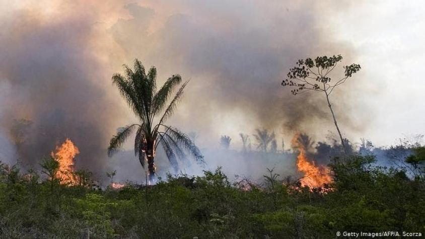Incendios en el Amazonas repercuten en Ecuador, Perú y Bolivia