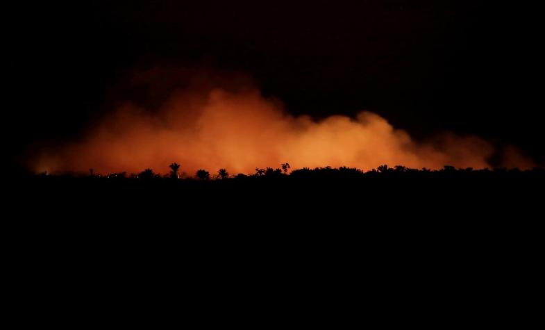 Incendio en la Amazonía: Superficie deforestada en las últimas décadas equivale a la de Chile