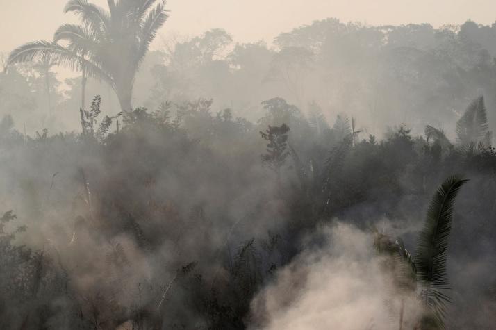 Incendio en la Amazonía: Las fotos engañosas que no deberías difundir tan rápido