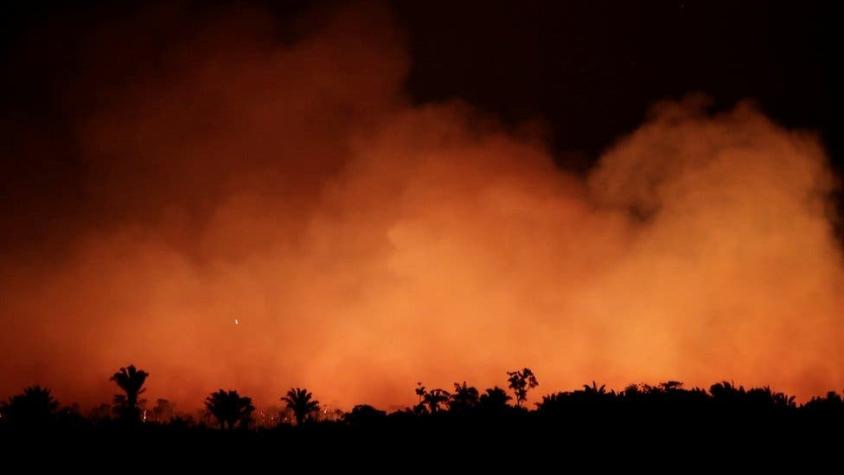 Incendios en el Amazonas: cómo se volvió más inflamable pese a ser un lugar húmedo
