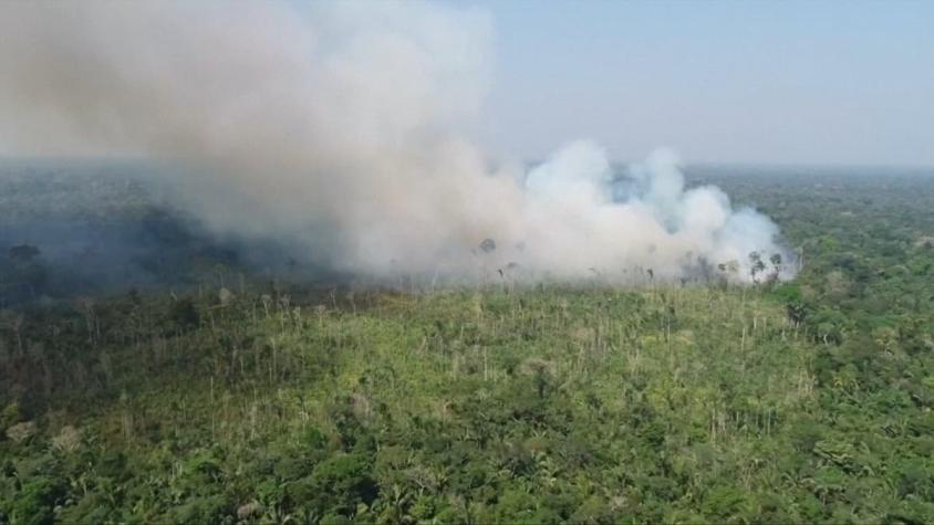 [VIDEO] Incendios en Amazonas alertan al mundo: Hace dos semanas que afectan a la selva brasileña