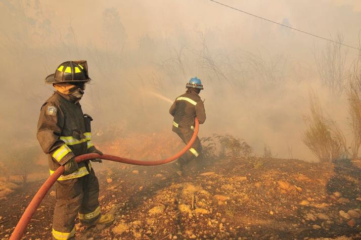 Decretan Alerta Roja por incendio forestal que ha consumido 12 hectáreas en Catemu y Panquehue