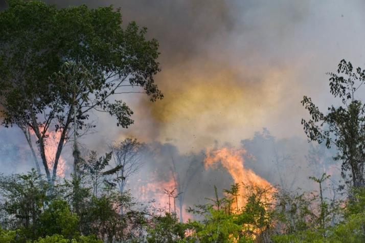 Movimiento de ecologista Greta Thunberg llama a protestar por la Amazonía el viernes