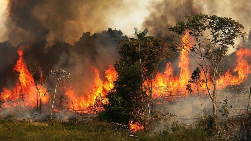 Incendios en la Amazonía: cómo se originaron los incendios que están causando estragos