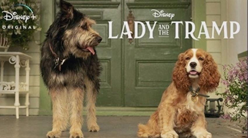 [FOTO] Disney revela el póster oficial del live-action de la "Dama y el Vagabundo"