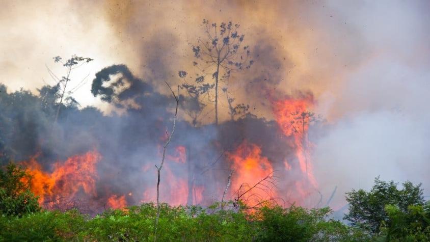 Incendios en el Amazonas: las críticas contra Bolivia, Paraguay y Brasil por cómo cuidan sus bosques