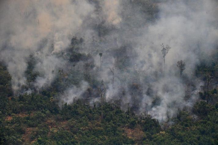 ¿Amazonía o Amazonas?: cuál es la forma correcta para hablar del incendio que afecta a esta región