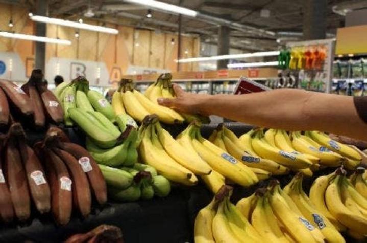 El hongo que amenaza la producción mundial de plátano llegó a América