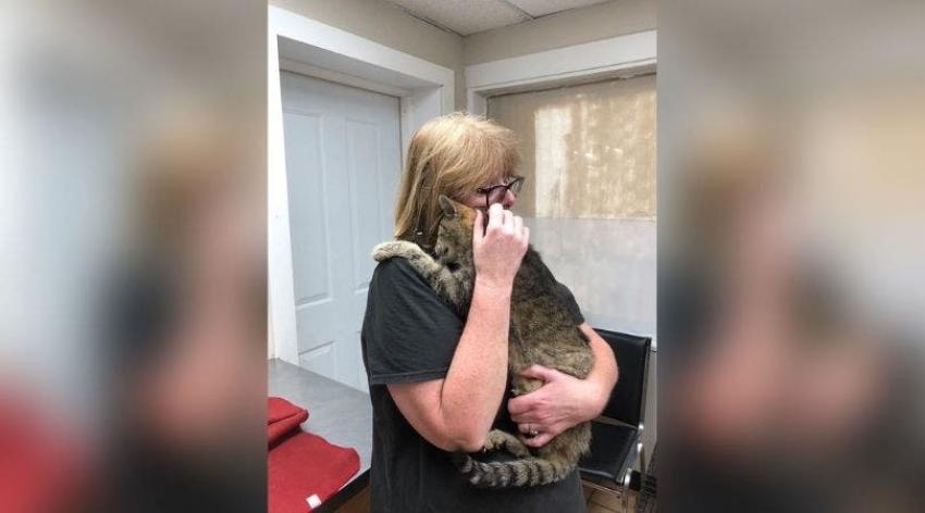 El emotivo reencuentro del gatito que estuvo perdido durante 11 años con su dueña