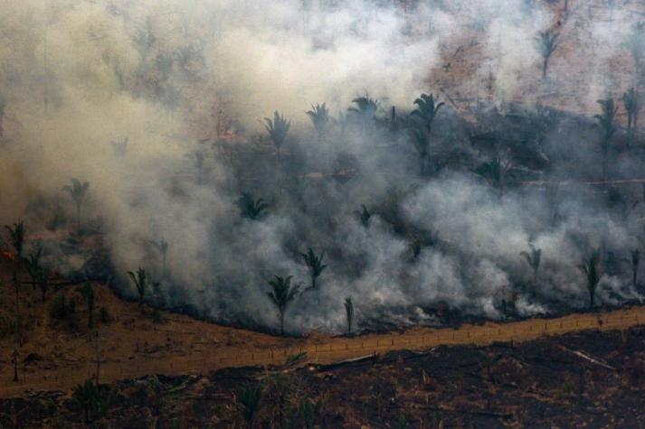 Reino Unido promete diez millones de libras esterlinas para la Amazonía