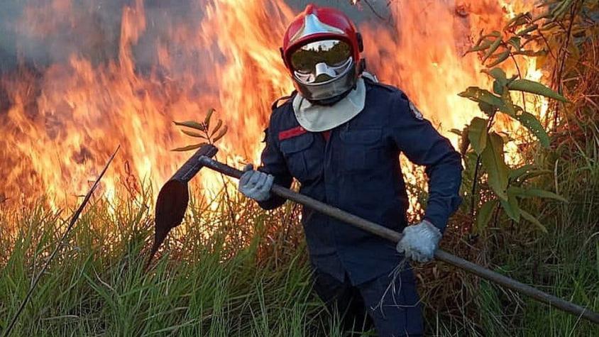Incendios en el Amazonas: ¿qué se está haciendo para combatir el fuego?