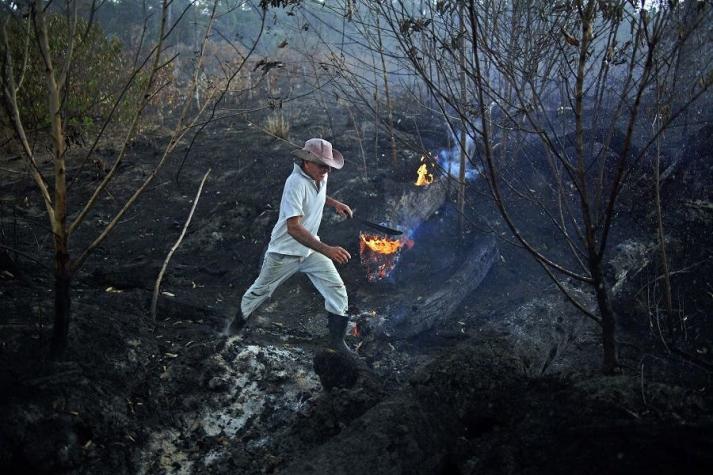 Brasil rechaza ayuda del G7 para combatir incendios en la Amazonía