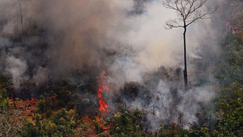 Incendios en la Amazonía: las imágenes erróneas que se están compartiendo en las redes sociales
