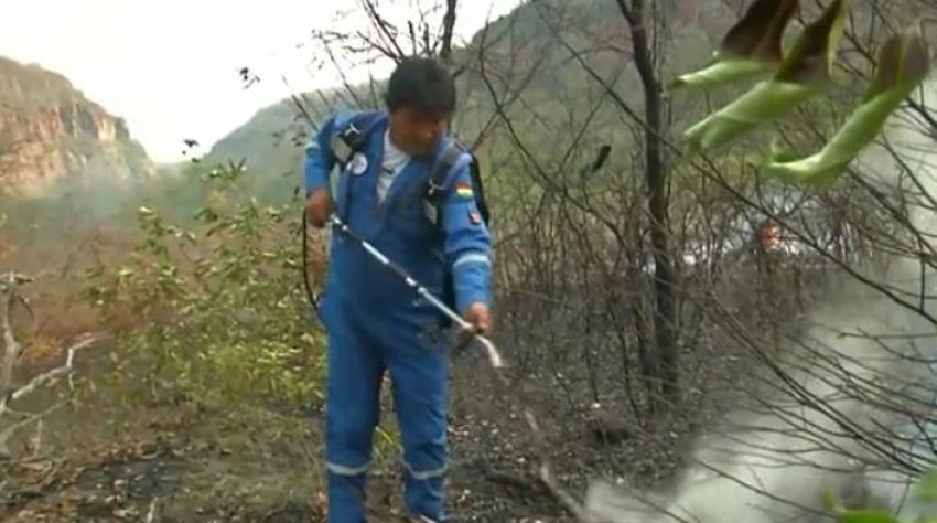 [VIDEO] Evo Morales se suma a equipos de emergencia en el combate de incendios forestales en Bolivia