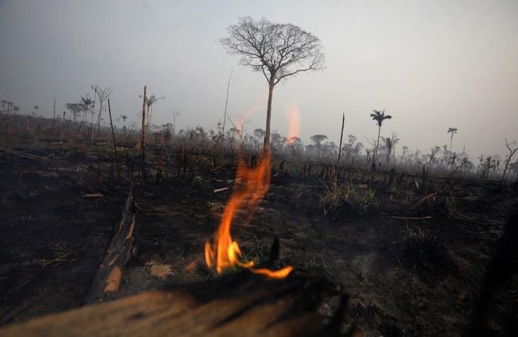 Amazonía en llamas: el daño puede ser irreversible