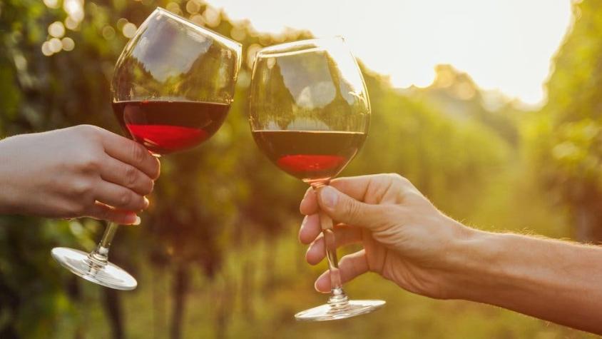 Por qué el vino tinto puede ser bueno para tus intestinos (si lo bebes con moderación)