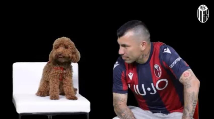 [VIDEO] "No te metas con el Pitbull": El divertido video con que Bologna anunció la llegada de Medel