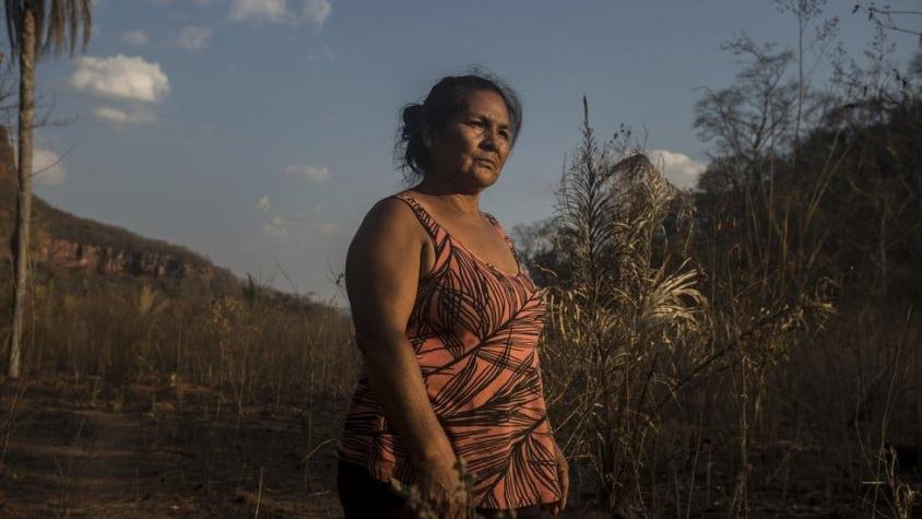Incendios en el Amazonas: "Las llamas tenían el tamaño de una casa, no pude salvar nada"