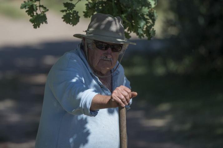 Pepe Mujica donó terrenos de su propia finca para construir viviendas para ex convictos