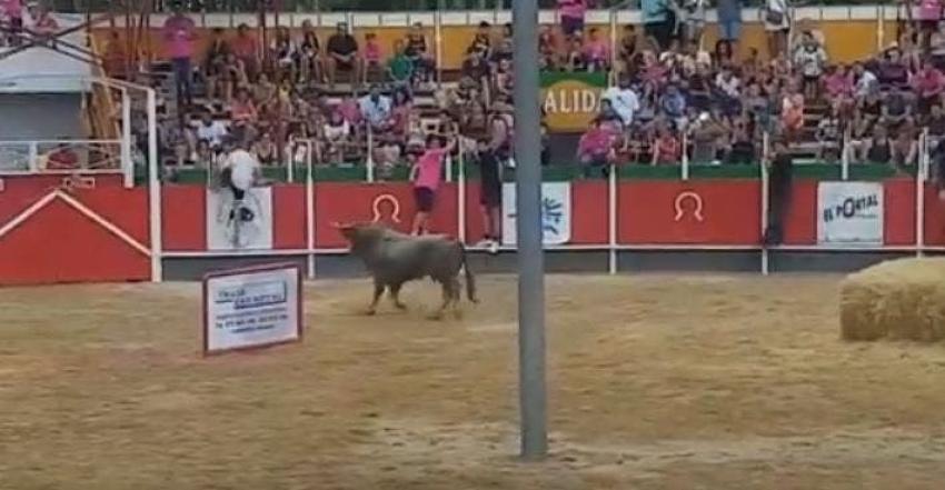 [VIDEO] Toro embiste a 17 espectadores tras saltar a las tribunas en España