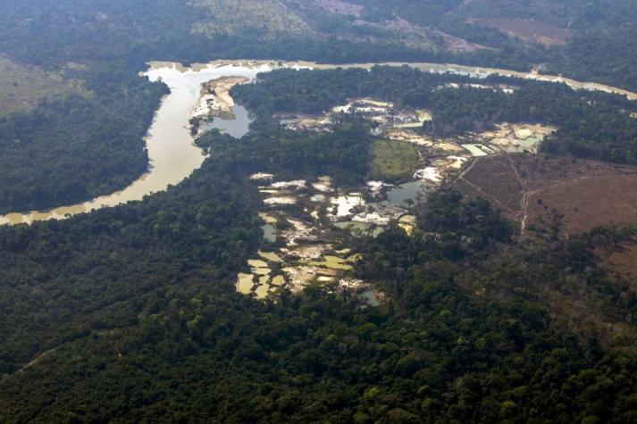 El árbol "más grande" de la Amazonía mide 88 metros y está a salvo de incendios