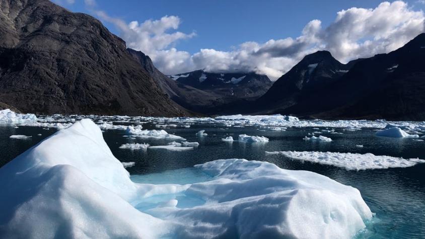 "Estamos perdiendo Groenlandia", la alarmante velocidad a la que se derrite el hielo en la isla