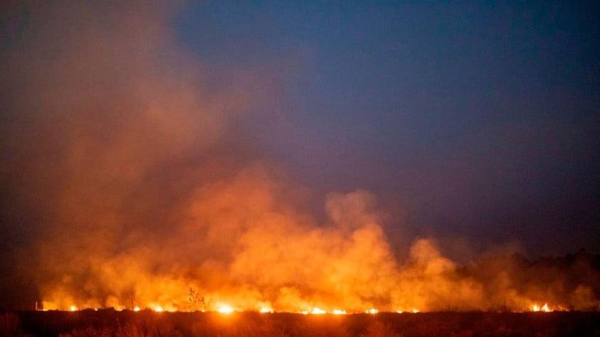 Incendios en el Amazonas: "Ha habido años de fuegos similares o peores que los de 2019"